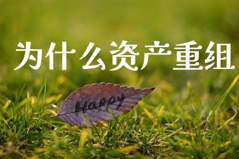 为什么资产重组_https://m.fsyjjx.cn_期货如何开户_第1张
