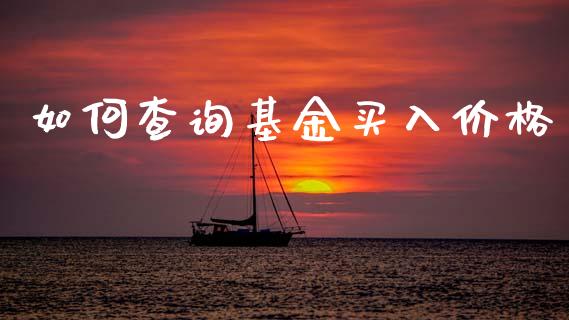 如何查询基金买入价格_https://m.fsyjjx.cn_期货如何开户_第1张