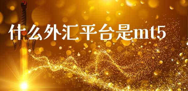 什么外汇平台是mt5_https://m.fsyjjx.cn_期货保证金_第1张
