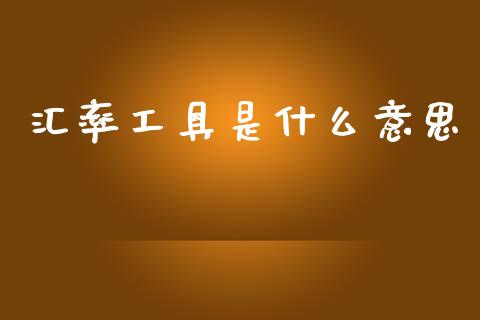 汇率工具是什么意思_https://m.fsyjjx.cn_期货保证金_第1张