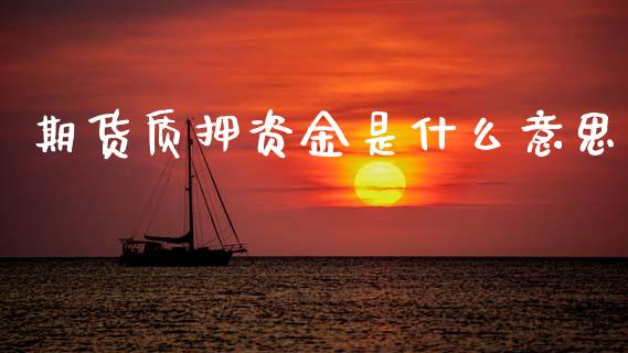 期货质押资金是什么意思_https://m.fsyjjx.cn_股指期货保证金_第1张