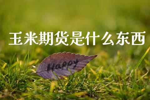 玉米期货是什么东西_https://m.fsyjjx.cn_期货保证金_第1张