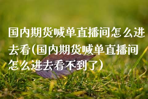 国内期货喊单直播间怎么进去看(国内期货喊单直播间怎么进去看不到了)_https://m.fsyjjx.cn_期货如何开户_第1张