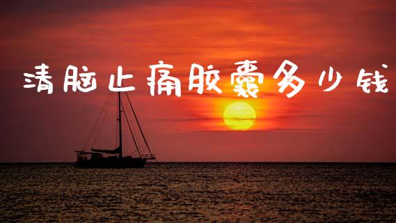 清脑止痛胶囊多少钱_https://m.fsyjjx.cn_股指期货保证金_第1张
