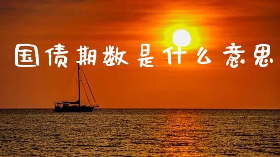 国债期数是什么意思_https://m.fsyjjx.cn_期货保证金计算_第1张