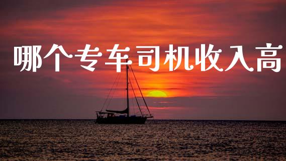 哪个专车司机收入高_https://m.fsyjjx.cn_期货如何开户_第1张