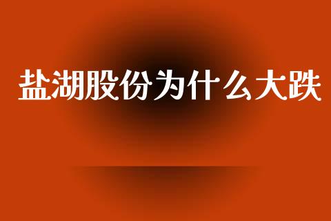 盐湖股份为什么大跌_https://m.fsyjjx.cn_股指期货保证金_第1张