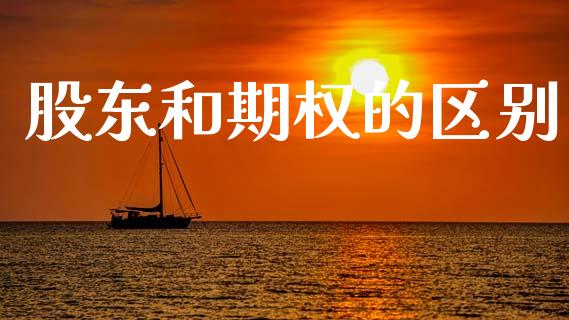 股东和期权的区别_https://m.fsyjjx.cn_期货保证金计算_第1张