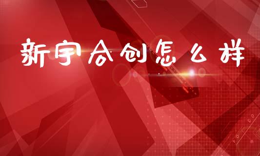 新宇合创怎么样_https://m.fsyjjx.cn_期货保证金_第1张