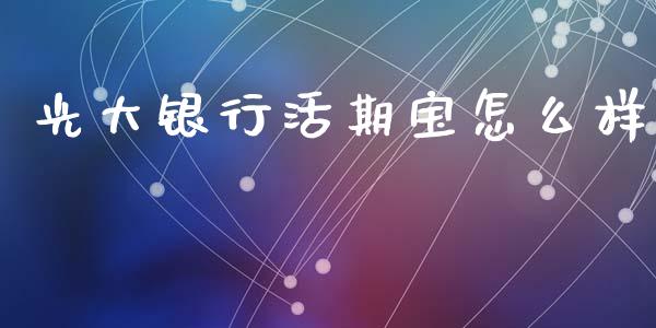 光大银行活期宝怎么样_https://m.fsyjjx.cn_期货如何开户_第1张