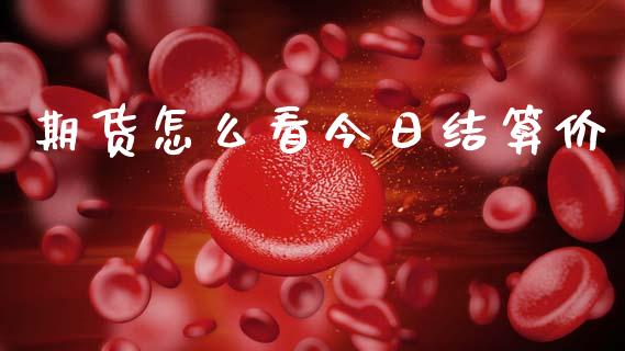 期货怎么看今日结算价_https://m.fsyjjx.cn_期货保证金_第1张