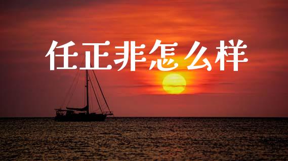 任正非怎么样_https://m.fsyjjx.cn_期货保证金_第1张