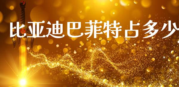 比亚迪巴菲特占多少_https://m.fsyjjx.cn_股指期货保证金_第1张