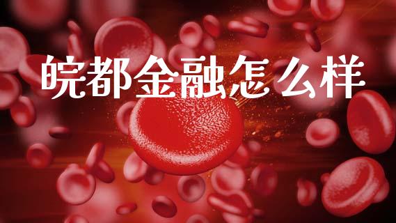 皖都金融怎么样_https://m.fsyjjx.cn_期货保证金计算_第1张