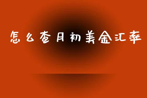 怎么查月初美金汇率_https://m.fsyjjx.cn_期货如何开户_第1张