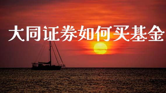 大同证券如何买基金_https://m.fsyjjx.cn_期货如何开户_第1张