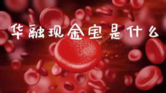 华融现金宝是什么_https://m.fsyjjx.cn_期货如何开户_第1张