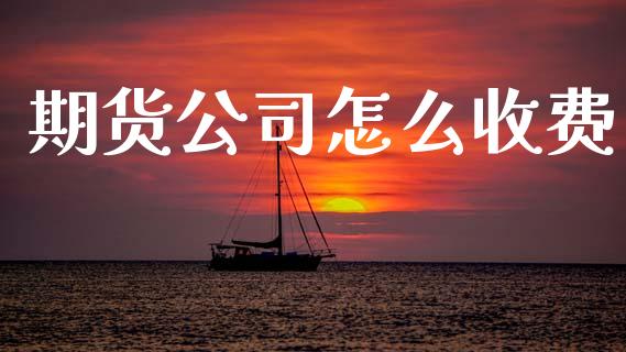 期货公司怎么收费_https://m.fsyjjx.cn_期货保证金_第1张