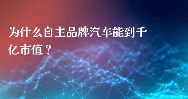 为什么自主品牌汽车能到千亿市值？_https://m.fsyjjx.cn_期货保证金_第1张