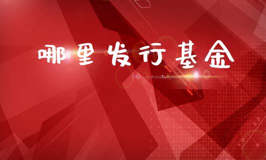 哪里发行基金_https://m.fsyjjx.cn_期货保证金_第1张