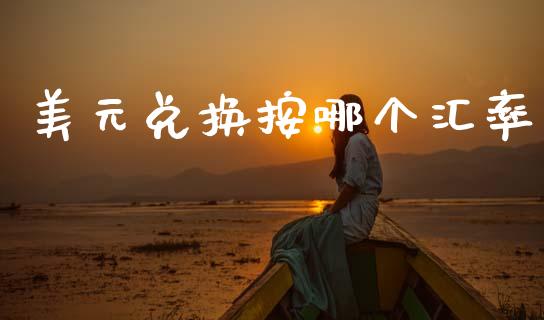 美元兑换按哪个汇率_https://m.fsyjjx.cn_期货保证金_第1张
