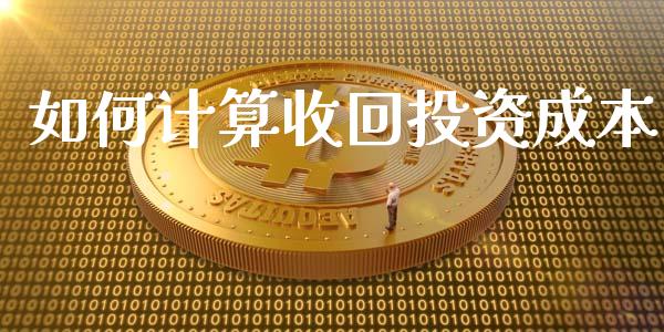 如何计算收回投资成本_https://m.fsyjjx.cn_期货保证金计算_第1张