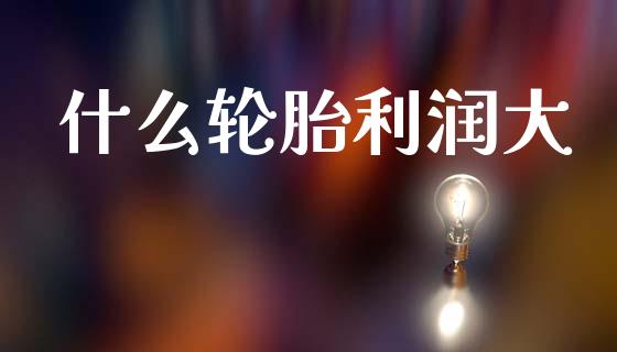 什么轮胎利润大_https://m.fsyjjx.cn_期货如何开户_第1张