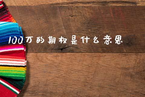 100万的期权是什么意思_https://m.fsyjjx.cn_股指期货保证金_第1张
