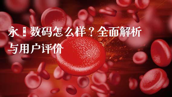 永灏数码怎么样？全面解析与用户评价_https://m.fsyjjx.cn_期货如何开户_第1张
