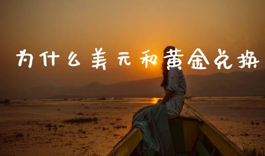 为什么美元和黄金兑换_https://m.fsyjjx.cn_期货保证金_第1张
