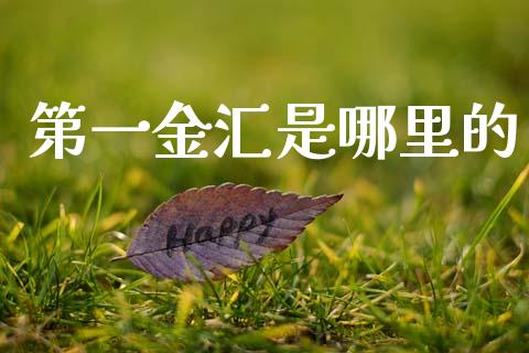 第一金汇是哪里的_https://m.fsyjjx.cn_期货保证金_第1张