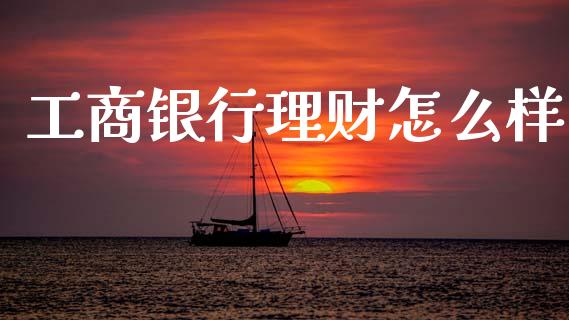 工商银行理财怎么样_https://m.fsyjjx.cn_期货如何开户_第1张