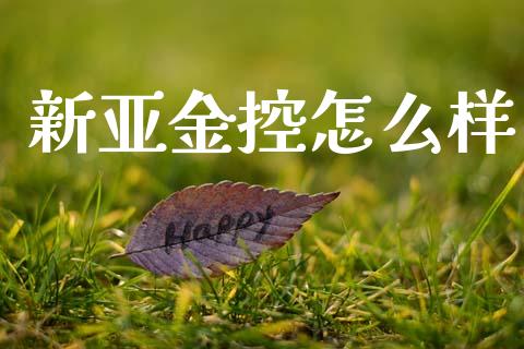 新亚金控怎么样_https://m.fsyjjx.cn_期货如何开户_第1张