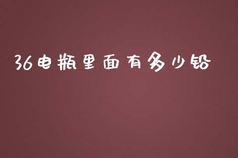 36电瓶里面有多少铅_https://m.fsyjjx.cn_股指期货保证金_第1张