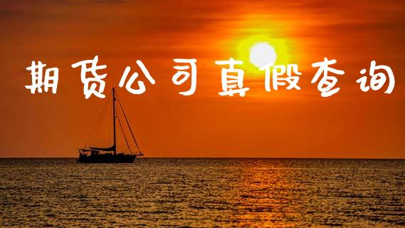 期货公司真假查询_https://m.fsyjjx.cn_期货保证金_第1张