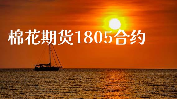 棉花期货1805合约_https://m.fsyjjx.cn_股指期货保证金_第1张