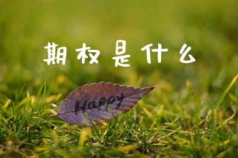 期权是什么_https://m.fsyjjx.cn_期货如何开户_第1张