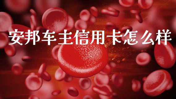 安邦车主信用卡怎么样_https://m.fsyjjx.cn_期货保证金计算_第1张