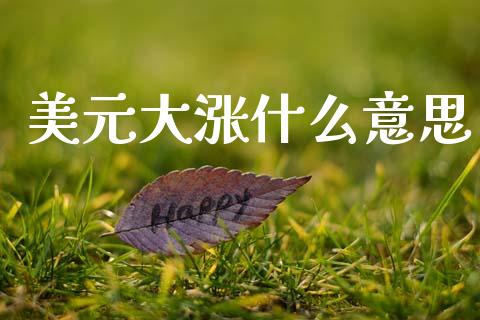 美元大涨什么意思_https://m.fsyjjx.cn_股指期货保证金_第1张