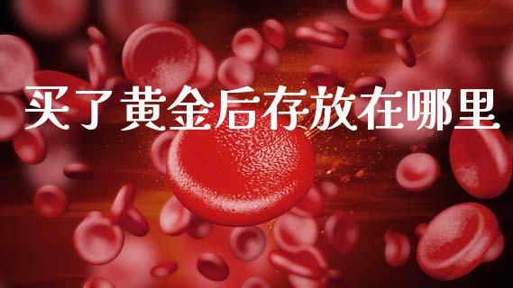 买了黄金后存放在哪里_https://m.fsyjjx.cn_期货保证金计算_第1张