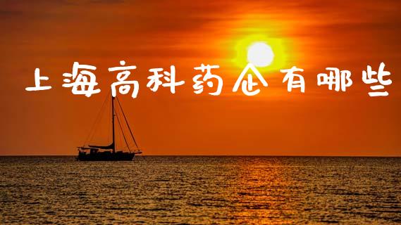 上海高科药企有哪些_https://m.fsyjjx.cn_期货如何开户_第1张