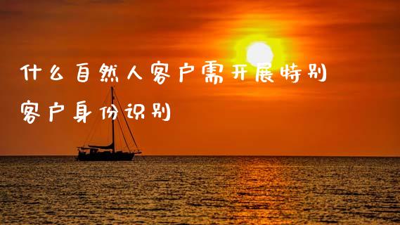 什么自然人客户需开展特别客户身份识别_https://m.fsyjjx.cn_期货如何开户_第1张