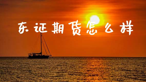 东证期货怎么样_https://m.fsyjjx.cn_期货保证金_第1张