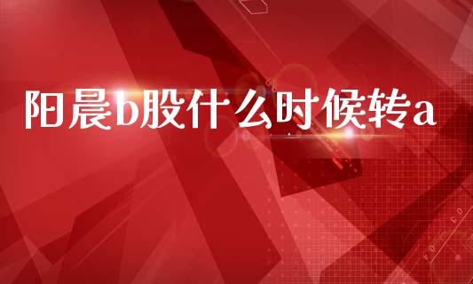 阳晨b股什么时候转a_https://m.fsyjjx.cn_期货如何开户_第1张