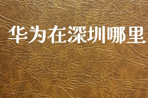 华为在深圳哪里_https://m.fsyjjx.cn_期货保证金计算_第1张