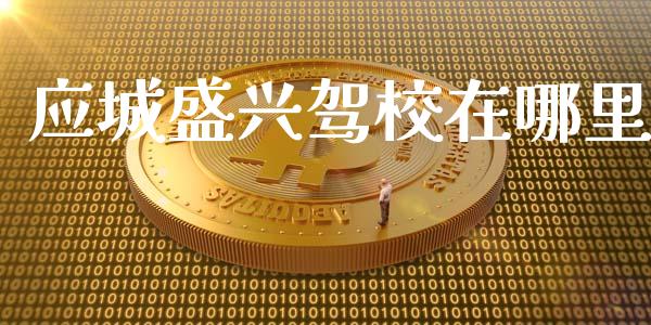 应城盛兴驾校在哪里_https://m.fsyjjx.cn_期货保证金_第1张