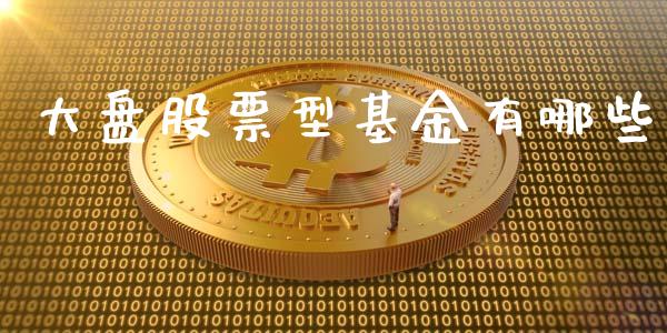 大盘股票型基金有哪些_https://m.fsyjjx.cn_期货如何开户_第1张