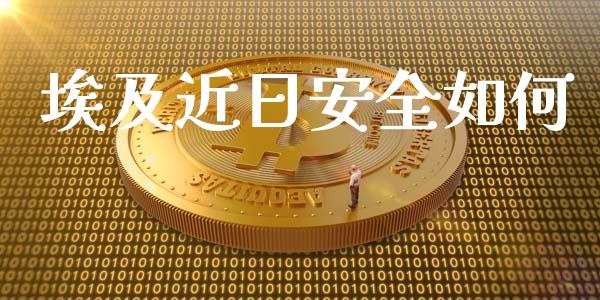 埃及近日安全如何_https://m.fsyjjx.cn_期货保证金计算_第1张
