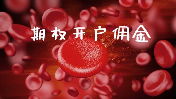 期权开户佣金_https://m.fsyjjx.cn_期货保证金_第1张