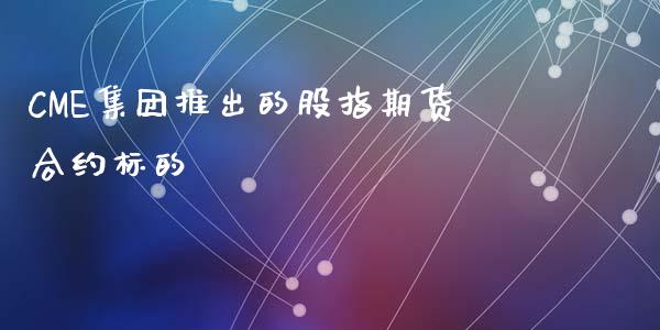 CME集团推出的股指期货合约标的_https://m.fsyjjx.cn_股指期货保证金_第1张
